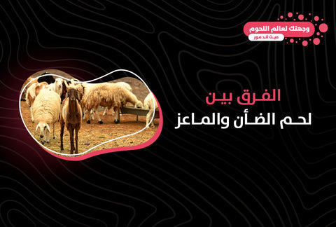 الفرق بين لحم الضأن والماعز - Meat and More