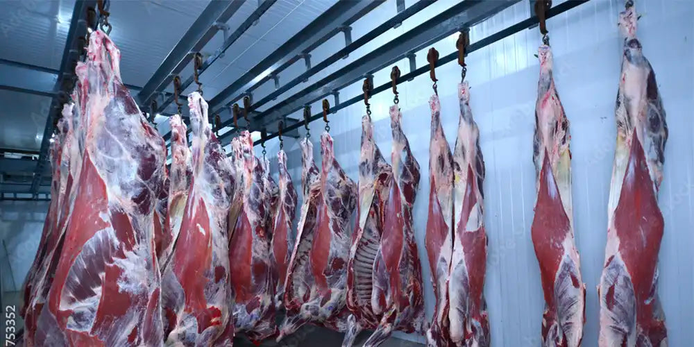 الذبائح - Meat and More