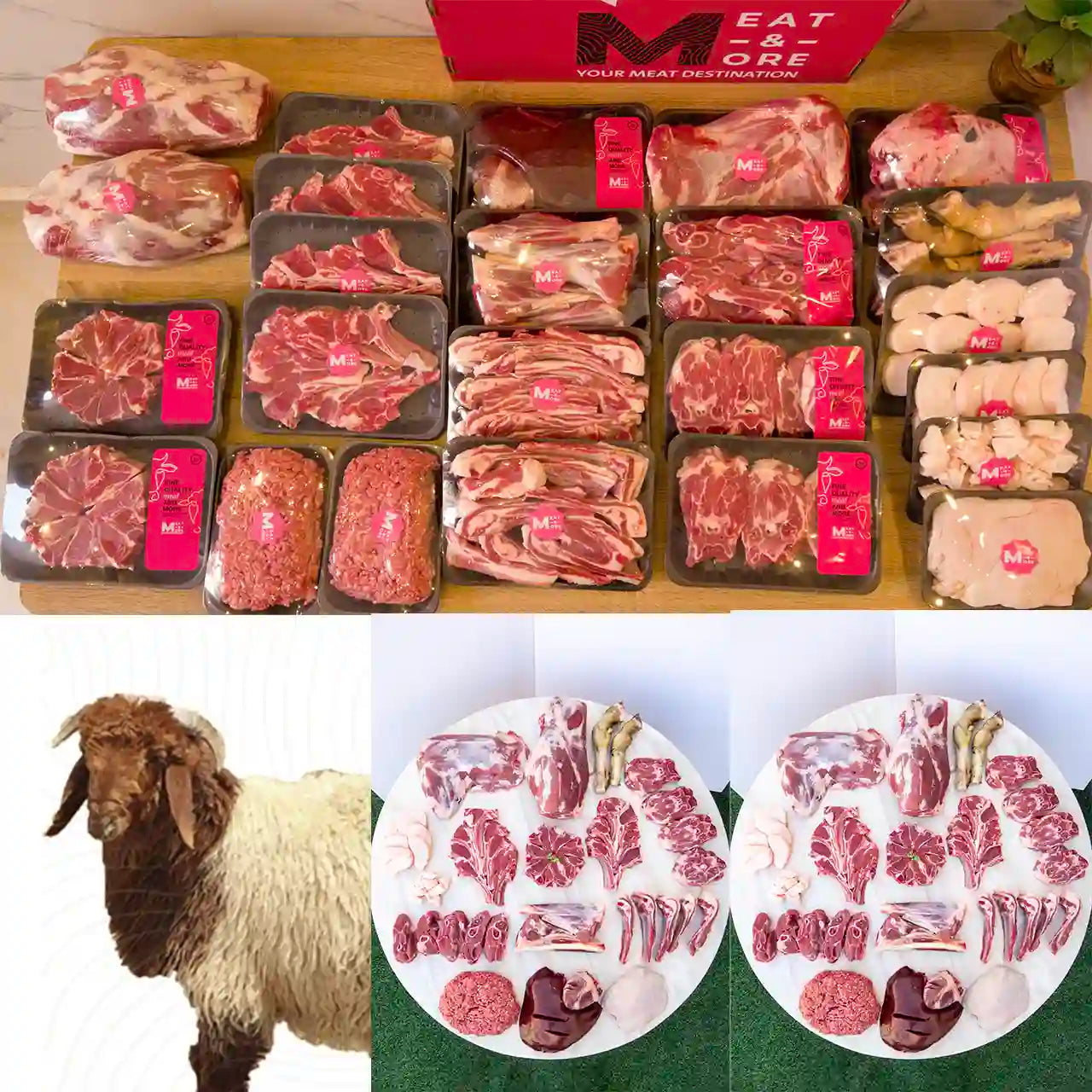 ذبيحة نعيمي جذع - خروف نعيمي - غنم نعيمي -Meat and More - ذبيحة نعيمي جذع - شراء لحوم طازجة في الرياض - أفضل ملحمة في الدمام - توصيل اللحوم الطازجة في الخبر - طلب لحوم عجل طازجة في الظهران 